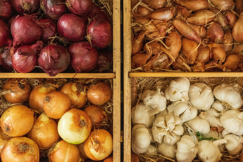 The Benefits of DIY Garlic and Onion Powder & Storage Tips